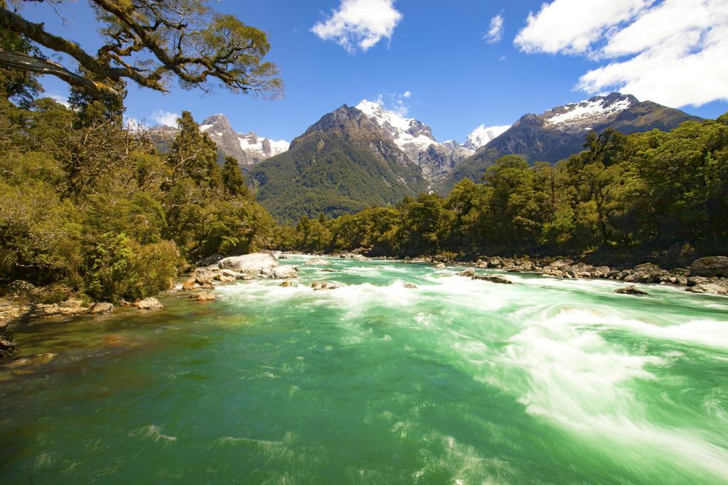 Milford Road Apartments テアナウ エクステリア 写真